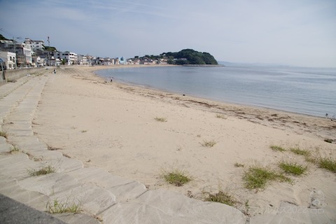 篠島ウミガメ隊_2022-09-14 08-08-23