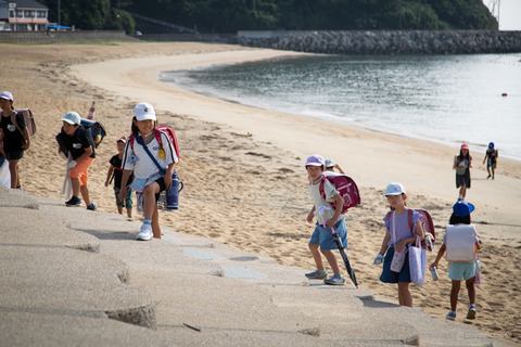 ウミガメ隊_20240717075124