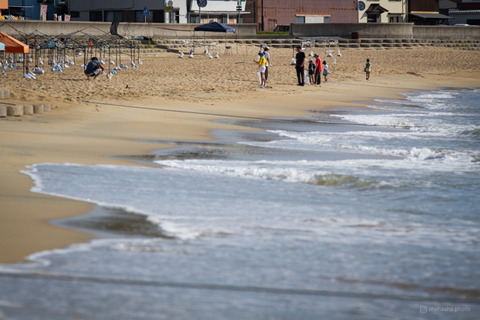 ウミガメ隊_20240821074300