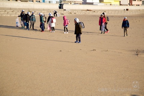 篠島ウミガメ隊_2018-02-07 07-37-41