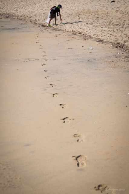 ウミガメ隊_20240821074737