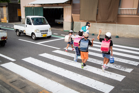 ウミガメ隊_20240904081047