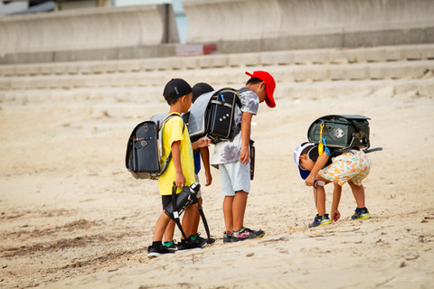 ウミガメ隊_20240904075501