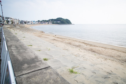 ウミガメ隊_20240904080952