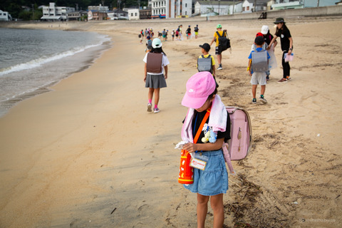 ウミガメ隊_20240904075230