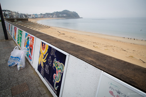 ウミガメ隊_20250312082124