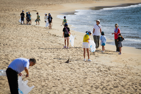 ウミガメ隊_20240821073907