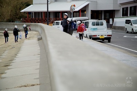 篠島ウミガメ隊_2018-03-07 07-46-35