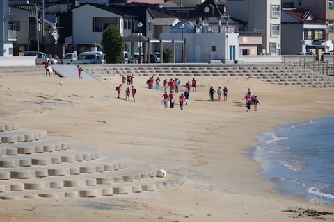 篠島ウミガメ隊_2022-06-08 07-53-03