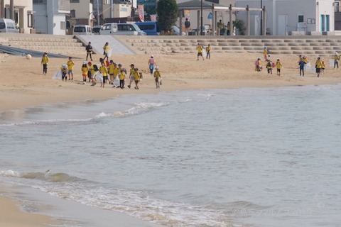 篠島ウミガメ隊_2019-06-19 07-44-29