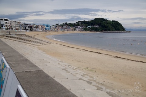 篠島ウミガメ隊_2020-07-15 08-00-02