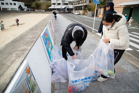 ウミガメ隊_20250115075747