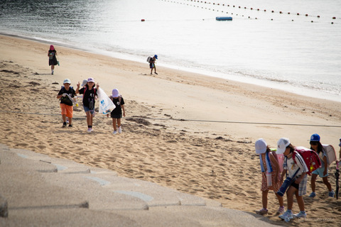 ウミガメ隊_20240717075108-2