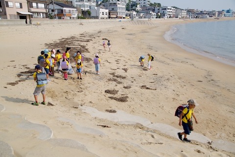 篠島ウミガメ隊_2019-06-19 07-49-42