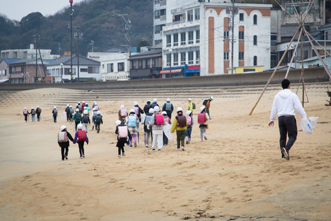 ウミガメ隊_20250312074957