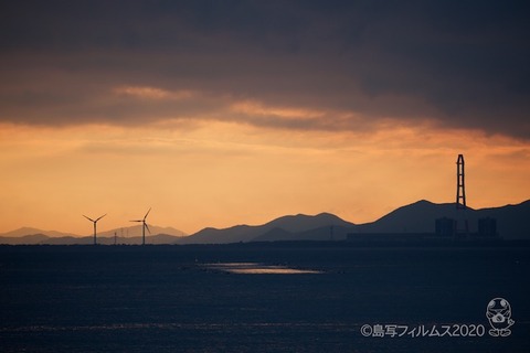 篠島ウミガメ隊_2020-01-15 07-35-59