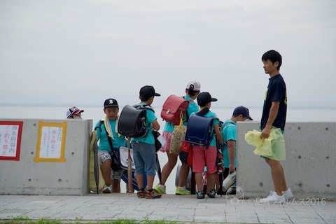 篠島ウミガメ隊_2016-07-13 07-44-04