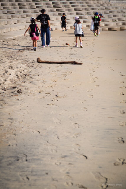 ウミガメ隊_20240821075000