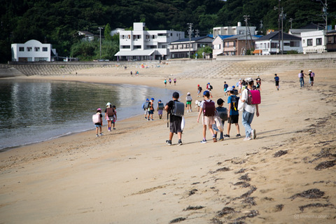 ウミガメ隊_20240717075249