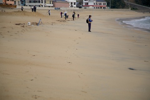 ウミガメ隊_篠島_2014-11-05 07-42-24