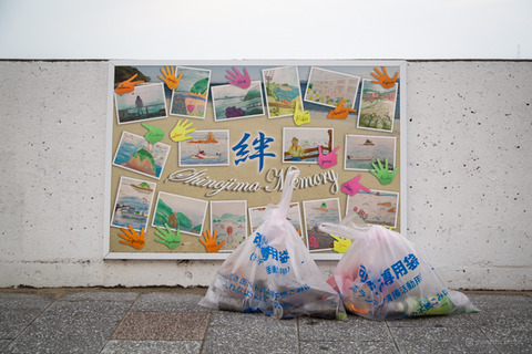 ウミガメ隊_20250115080051