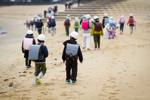 ウミガメ隊_20250312075359