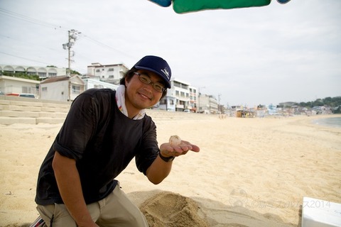 ウミガメ_篠島_前浜_2014-07-18 10-34-42