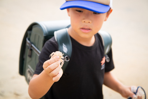 ウミガメ隊_20240904075534-2