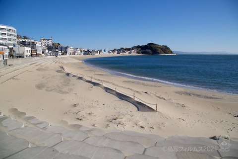 篠島ウミガメ隊_2021-03-03 07-58-12