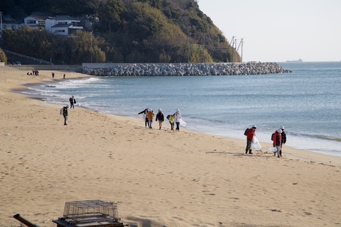 篠島ウミガメ隊_2024-03-13 07-49-31