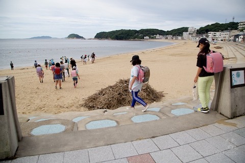 篠島ウミガメ隊_2020-07-15 07-39-15
