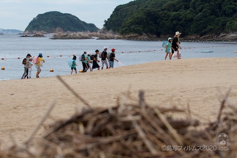 篠島ウミガメ隊_2020-07-15 07-47-48