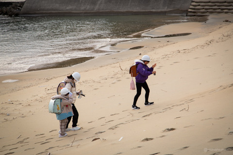 ウミガメ隊_20250115075738