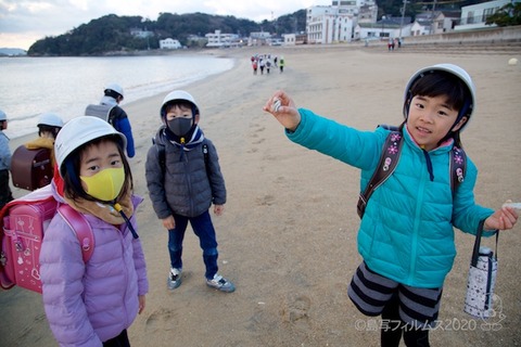 篠島ウミガメ隊_2020-01-15 07-44-56