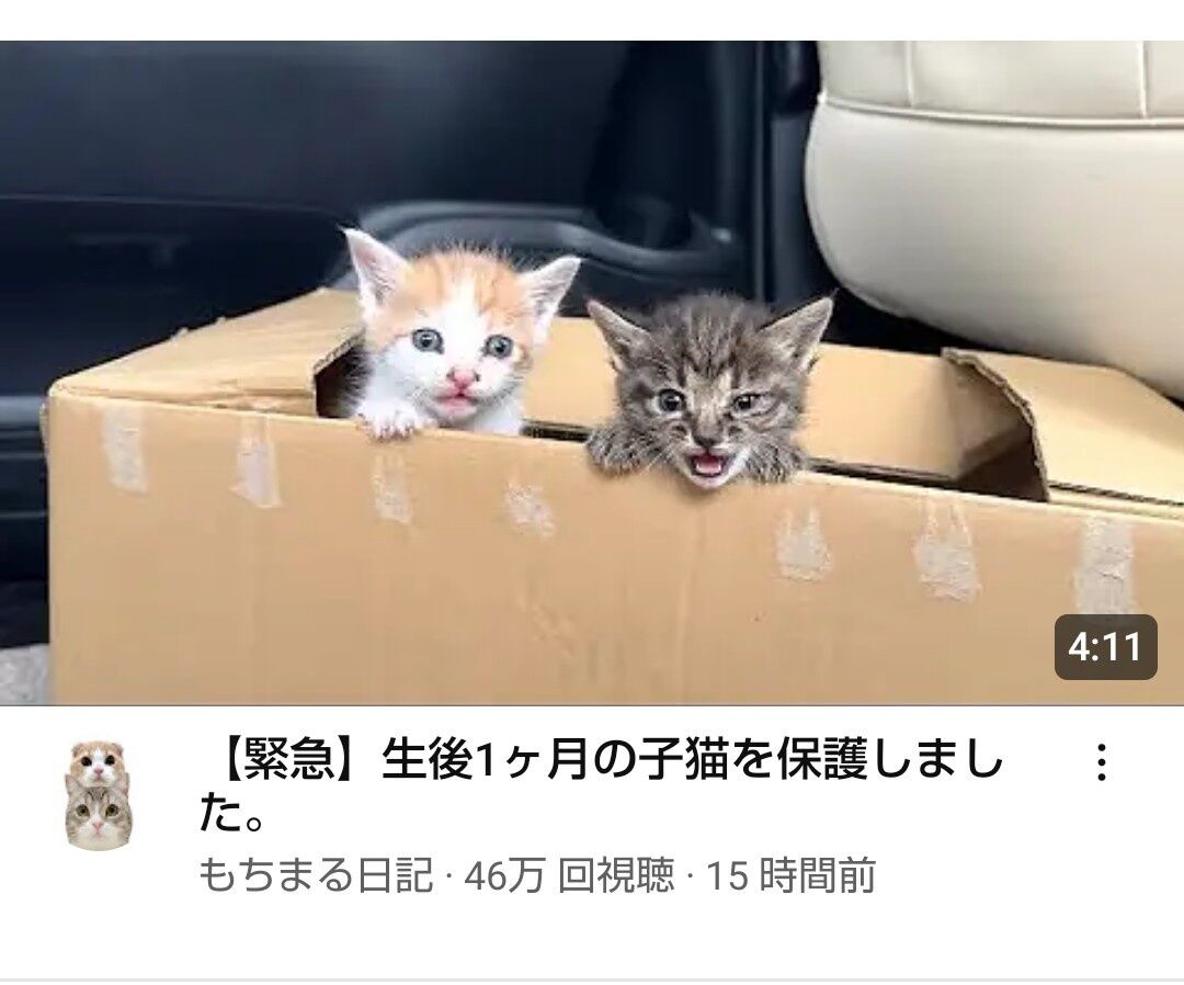【悲報】もちまる日記、もうもちまる日記じゃなくなる