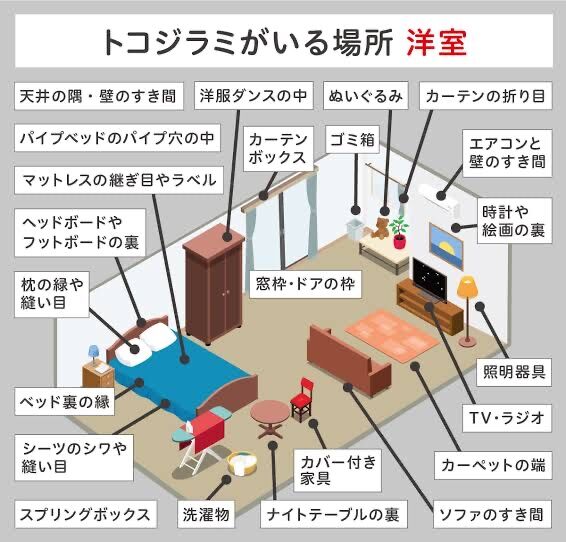 【悲報画像】「トコジラミが好きな場所」ヤバすぎるｗｗｗｗｗｗｗｗｗｗｗｗｗｗｗｗｗｗｗｗｗｗｗ