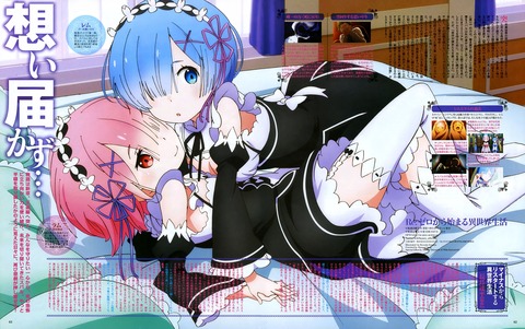 _(re_zero) thighhighs