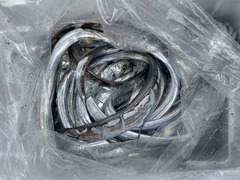 太刀魚