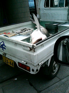 波崎 サメ 大貫 ビーチクリーン 海人２年生 ふんどしサーファー奮闘記