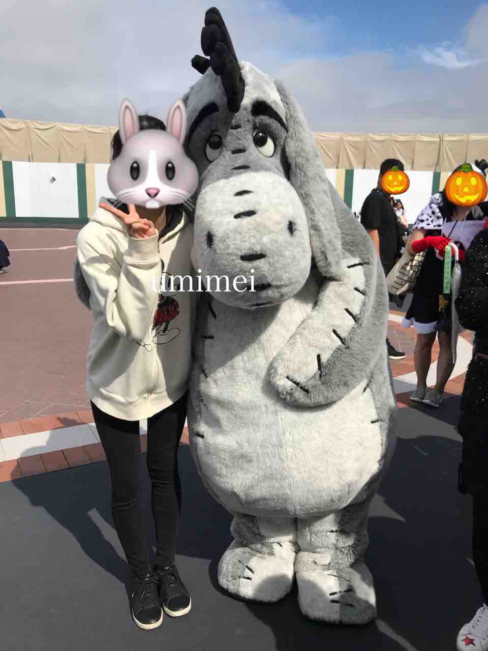 帰り際にイーヨーに遭遇 私が1番可愛かった頃の写真 うみのめい