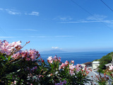 三宅島を望む