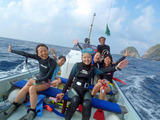 御蔵島ドルフィンスイム