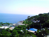 快晴の御蔵島