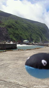 うねりの御蔵島港