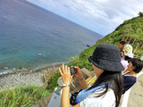 イルカの見える丘 御蔵島