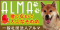 alma_banner