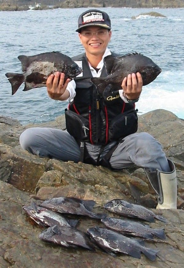 やってみようかな イシダイ釣り 今日の釣りは何を釣る