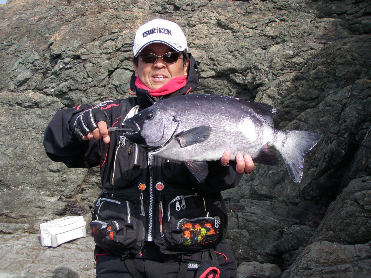 やってみようかな イシダイ釣り 今日の釣りは何を釣る