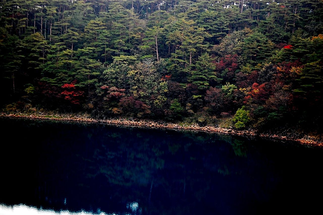 えびの高原 霧島の紅葉前線 今日の釣りは何を釣る