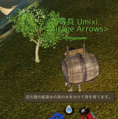 丸太2種の育て方 Umixiのあーきえいじ